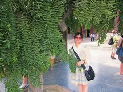 -大雁塔北广场音乐喷泉