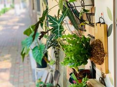 -Rabbit Cafe私房西餐甜点咖啡(栖霞路店)