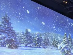 -大成活海鲜烧烤龙虾(静安大融城店)