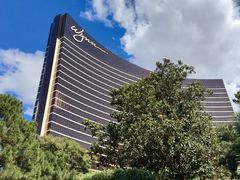 -拉斯维加斯永利酒店