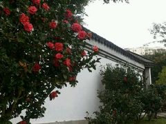 -九龙寨城公园