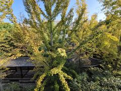 -和县香泉温泉度假村