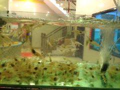 iphone_upload_pic-合家小菜餐馆(新诚花苑店)