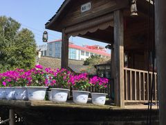 -天怡·鱼工厂(临江店)