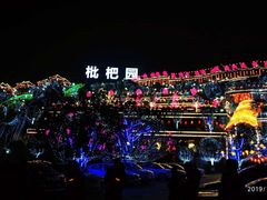 -枇杷园食为鲜火锅(南山店)