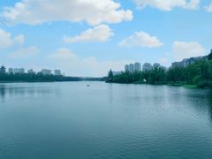 -洋湖国家湿地公园