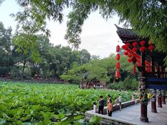 -房湖公园