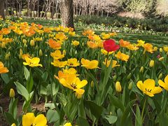 -长春公园(普阳街道)