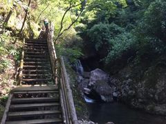 -东天目山风景区