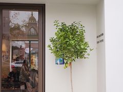 -fishtank鱼缸咖啡(三山街店)