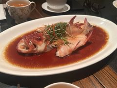 清蒸东星斑-晶采轩(虹桥路店)
