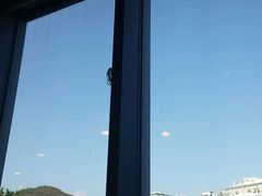 -星巴克(夏日百货店)