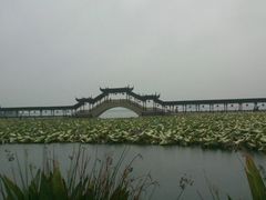 -定园