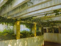 -上海兴国宾馆香樟园西餐厅