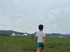 -敕勒川草原