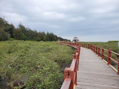 -北海金海湾红树林生态旅游区