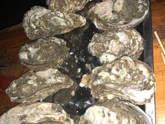 -八一湛江生蚝(文明东路总店)