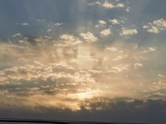 -吾悦广场(渭南店)