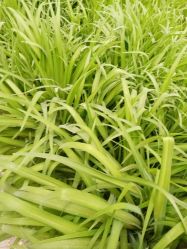 -Oasis Beauty水磨坊科技美肤中心