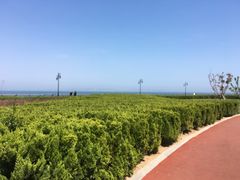 -东港音乐喷泉广场