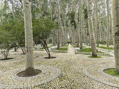 -仁和公园(顺义区)