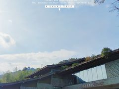 -都江堰中华大熊猫苑
