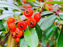 -苏州河梦清园环保主题公园