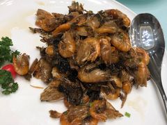 -新吉士·上海菜(浦东LCM置汇旭辉店)