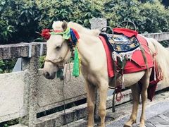 -天龙八部武侠城