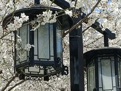 -苏州上方山国家森林公园