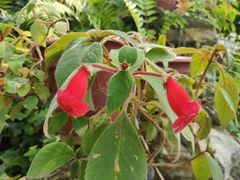 -国家植物园南园