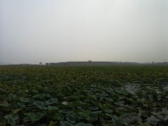 -天津东丽湖风景区