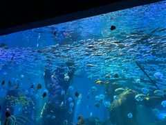 -哈尔滨波塞冬海底世界