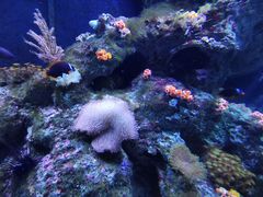 -成都浩海立方海洋公园