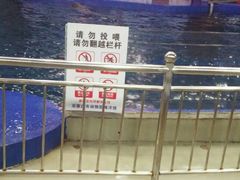 -石家庄极地海洋世界