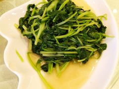 清炒鸡毛菜-博雅渔港·融合菜(维也纳国际大酒店)