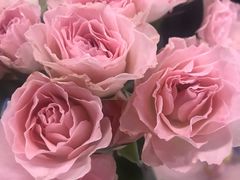 -飞虹鱼馆(春华路店)