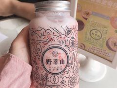 -野萃山·潮汕厚果汁(十亩地店)