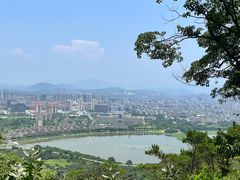 -风云岭森林公园