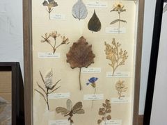 -月栖华明-云间草堂清茶馆(泗泾古镇店)