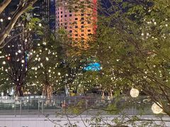 -深圳湾万象城(南山店)