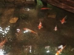 -鱼满舱·鲜活海鲜·正宗鲁菜