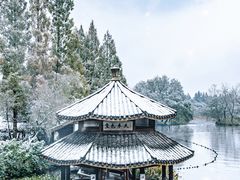 -茅家埠
