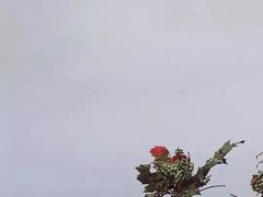 -紫霞湖公园