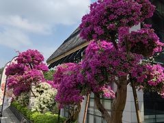-广州莲花山旅游区