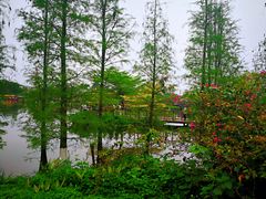 -海珠湖公园