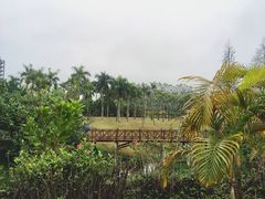 -聚龙山公园