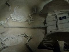 -洛阳周王城天子驾六博物馆