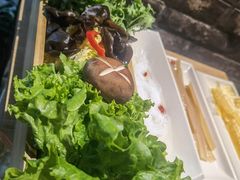 -蓉客成都火锅·招牌麻辣牛杂·特色香辣蹄花(凌水店)