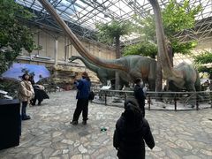 -国家自然博物馆